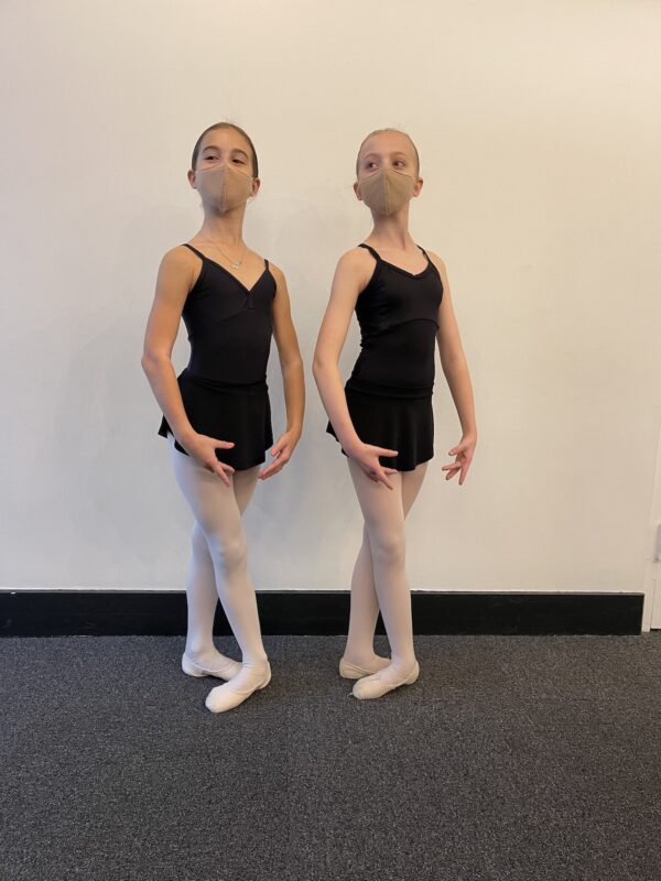 Skirt - ballet high/low